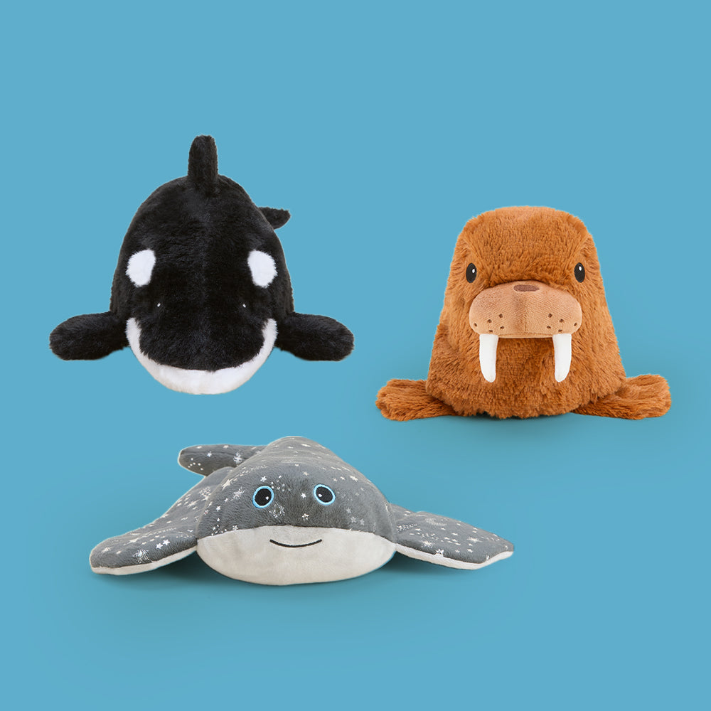 1000x1000-Bundle-Images-Ocean.jpg Under the Sea - Image 1