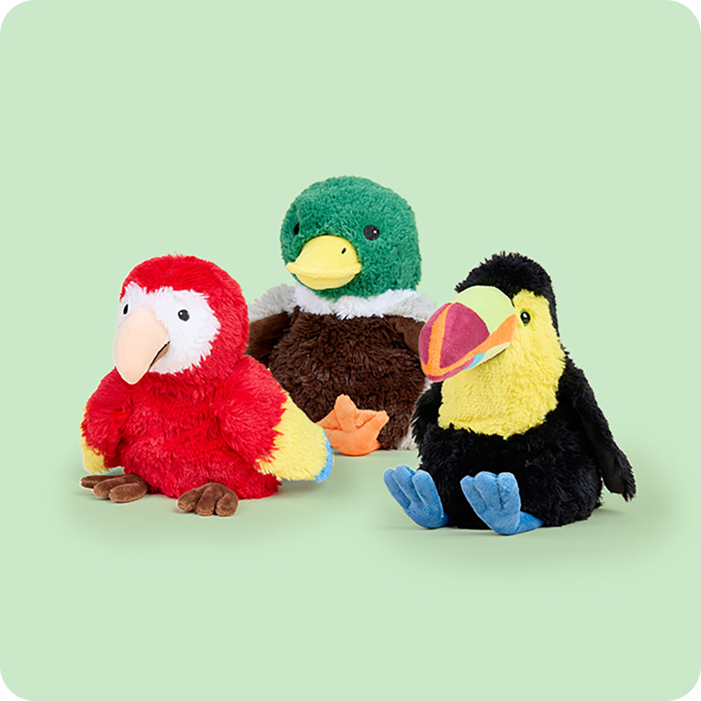 Birds_93a3797f-f31c-448b-aa5f-41a5d9607e5e.jpg Bird - Image 1