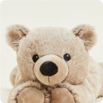 Brown Bear Warmies - Image 4