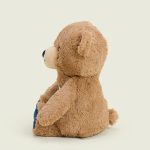 USA Bear Warmies - Image 6