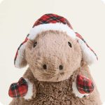 Cozy Capybara Warmies - Image 3