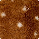 Laying Down Deer Warmies - Image 7