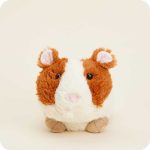 Guinea Pig Warmies