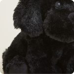 Black Labrador Warmies - Image 6