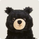 Black Bear Warmies Junior - Image 2