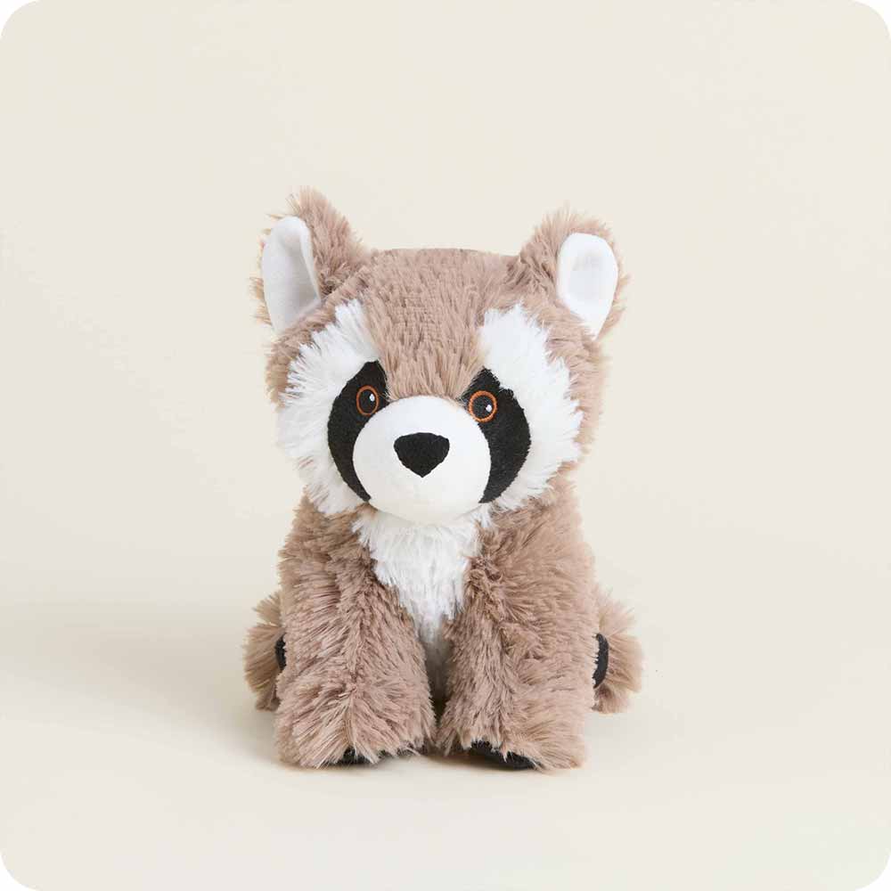 CPJ-RAC-1-0431.jpg Raccoon Warmies Junior - Image 1