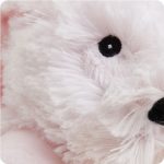 Bunny Warmies Wrap - Image 4