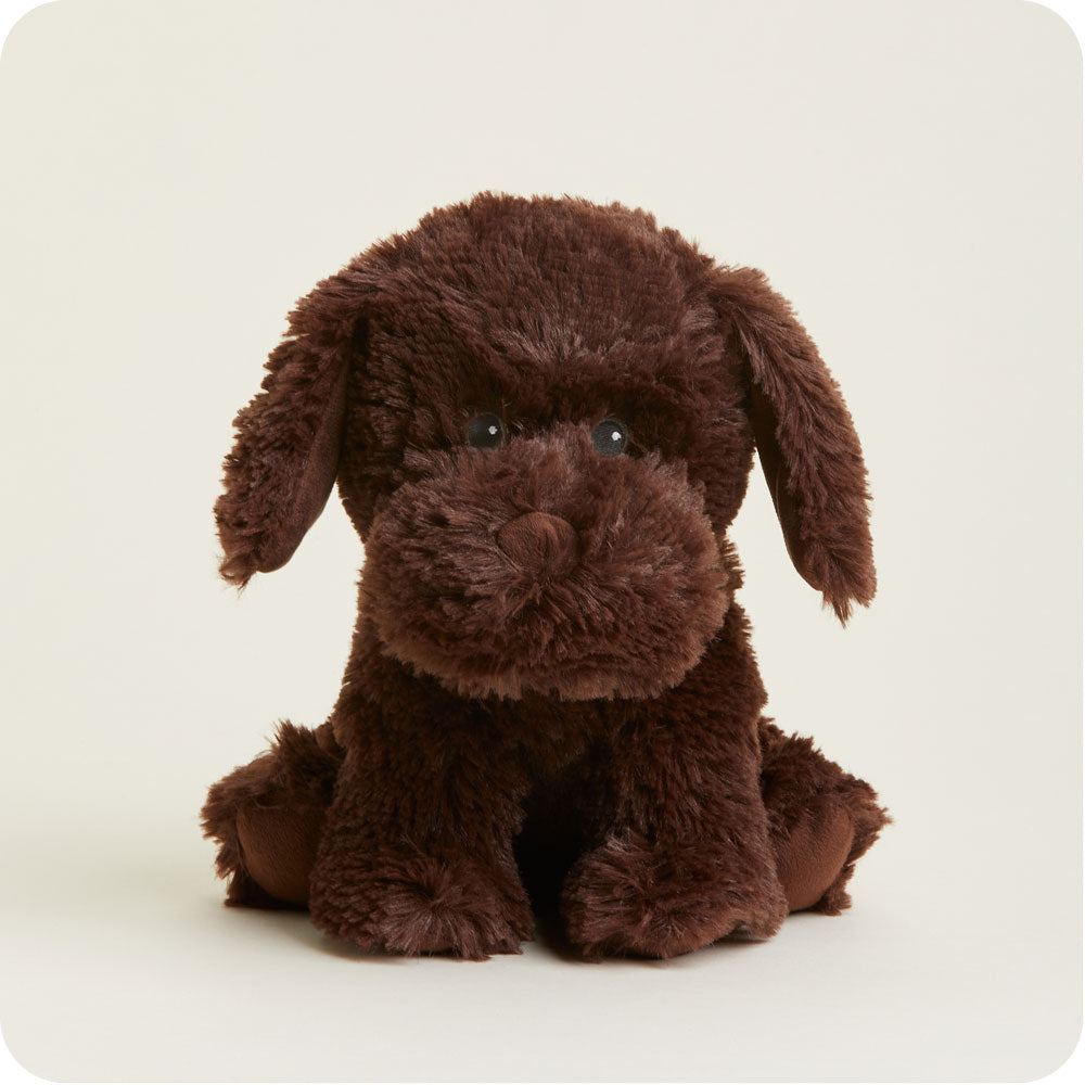 Dark-Brown-Dog2146.jpg Chocolate Labrador Warmies - Image 1