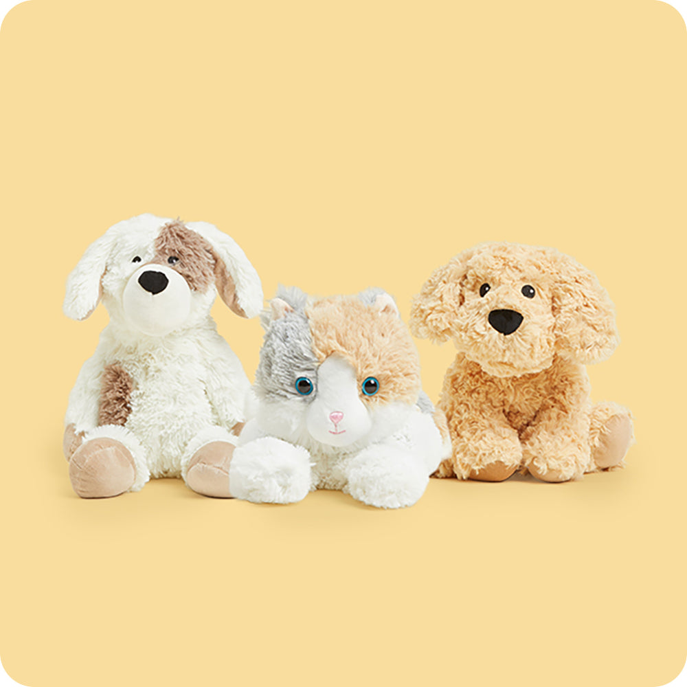Pets_9f28b28f-0716-4802-842c-6b2135e93c6c.jpg Pets - Image 1