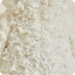 Cream Curly Bear Warmies - Image 9