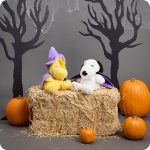 Peanuts™ - Image 3